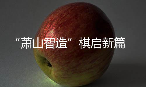 “萧山智造”棋启新篇 小明围棋机器人亮相智博会