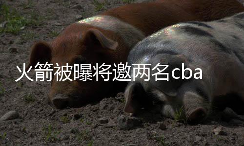 火箭被曝将邀两名cba外援试训 1人曾单场砍51分