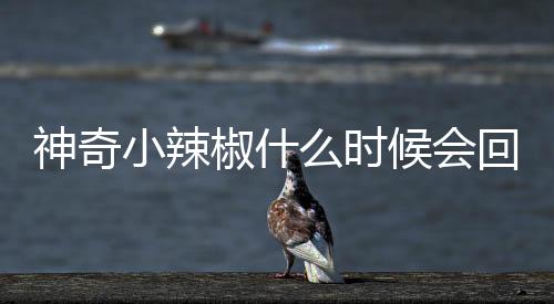 神奇小辣椒什么时候会回到意甲?主教练也是老熟人了