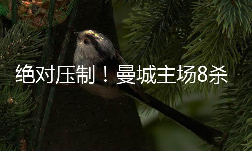 绝对压制！曼城主场8杀樱桃军 数据示纪录延续