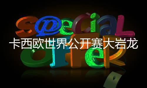 卡西欧世界公开赛大岩龙一夺冠 与教练谷将贵痛哭