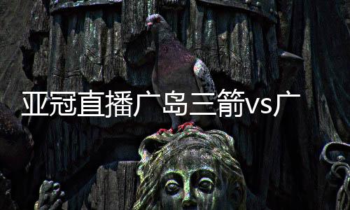 亚冠直播广岛三箭vs广州恒大比赛视频直播 央视地址观看