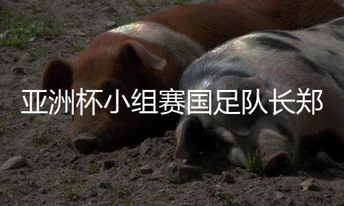 亚洲杯小组赛国足队长郑智再创历史 追平李明出站记录