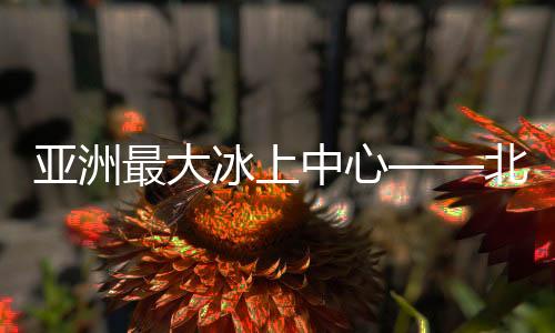 亚洲最大冰上中心——北京市冰上项目训练基地本月亮相