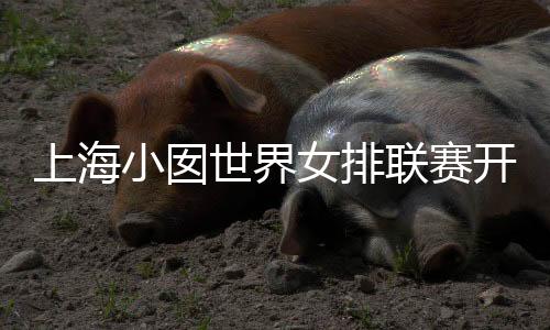 上海小囡世界女排联赛开挂