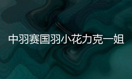 中羽赛国羽小花力克一姐戴资颖 男单石宇奇晋级