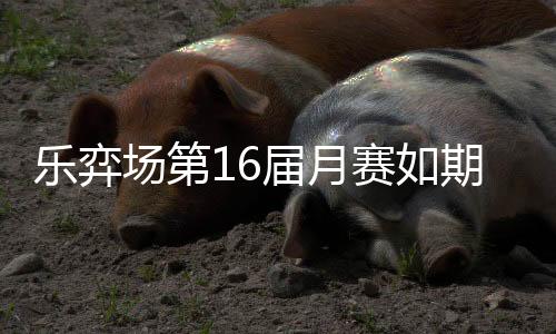 乐弈场第16届月赛如期而至 张弘弢荣获双冠王