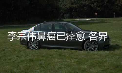 李宗伟鼻癌已痊愈 各界人士盼其恢复健康重返巅峰