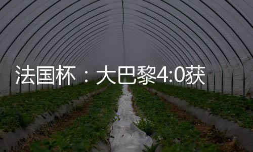 法国杯:大巴黎4:0获胜晋级 内马尔新发型抢眼(图)