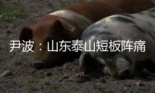 尹波:山东泰山短板阵痛还在继续!修修补补何时了