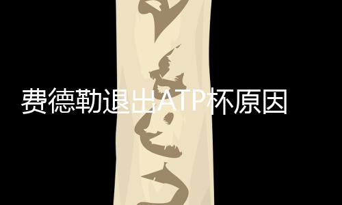 费德勒退出ATP杯原因 瑞士退出第一梯队入围名单