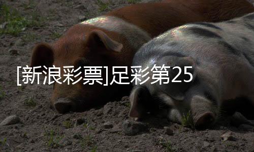 [新浪彩票]足彩第25180期任九：热刺信心不足