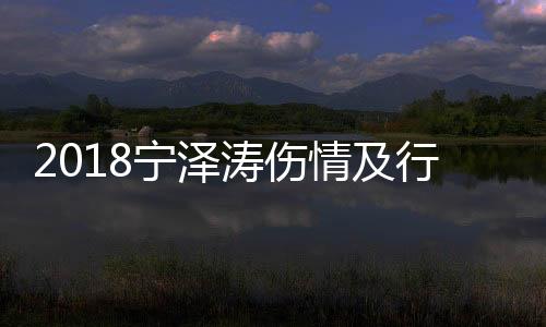 2018宁泽涛伤情及行程消息：被诊断为韧带二度损伤 月底将回澳洲备战